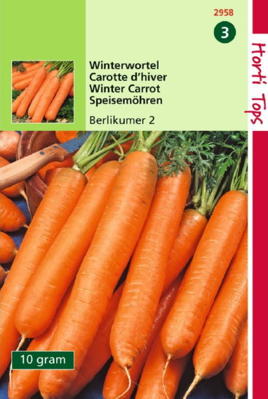 Winter carrot Berlikumer (Daucus) 10000 seeds HT
